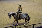 Quadrille - 00680